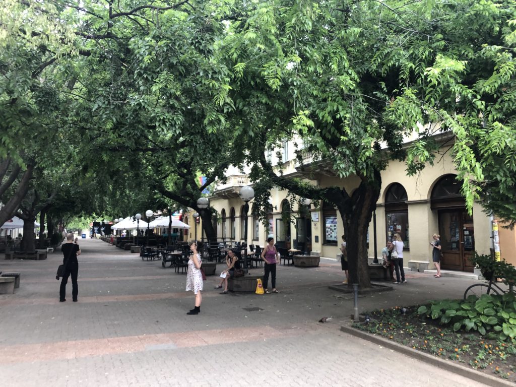 Workshop in Belgrado, Serbia, June 2019 © Cie Yan Duyvendak